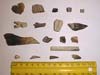 Microsite finds