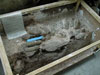 Egg nest in box