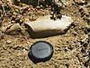 first t.rex bone