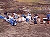 Finding and excavating bones